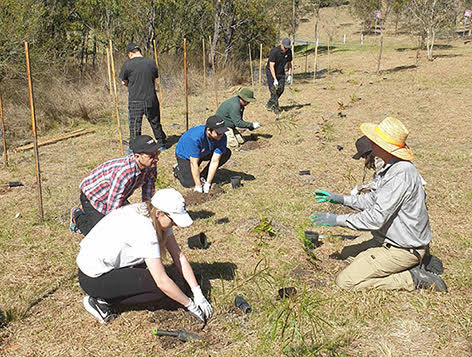 planting session