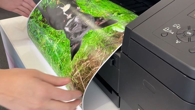 Epson FrameToday 3