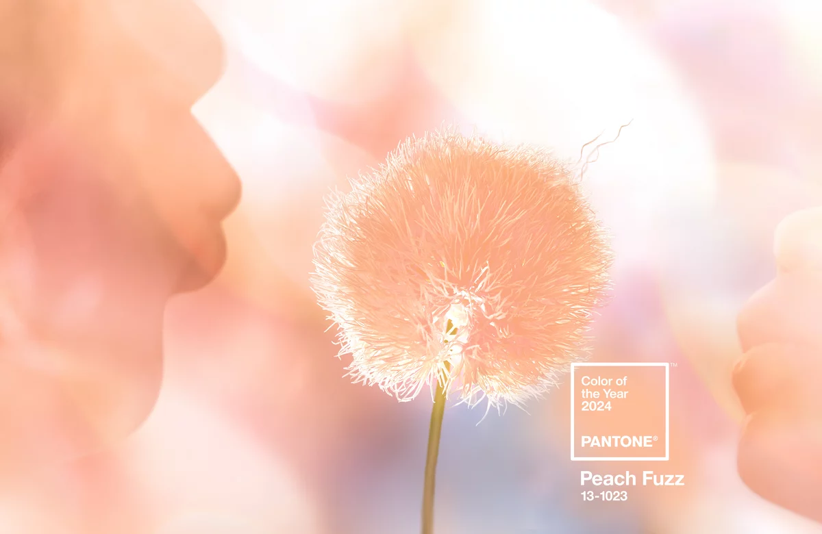 Pantone PeachFuzz1