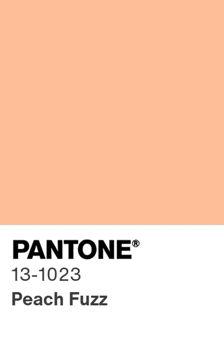 pantone color chip 13 1023 peachfuzz