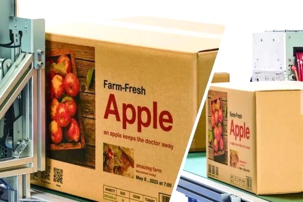 Riso Intelliglide boxes