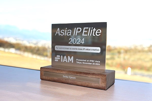 Epson APElite plaque