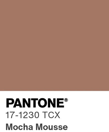 pantone color chip 17 1230 MochaMousse