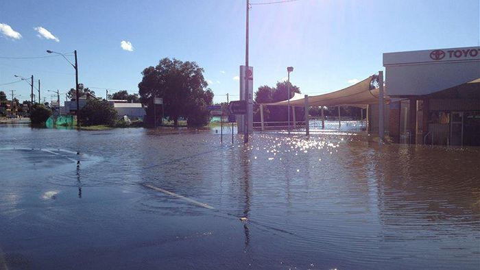 Cyclone Alfred damage