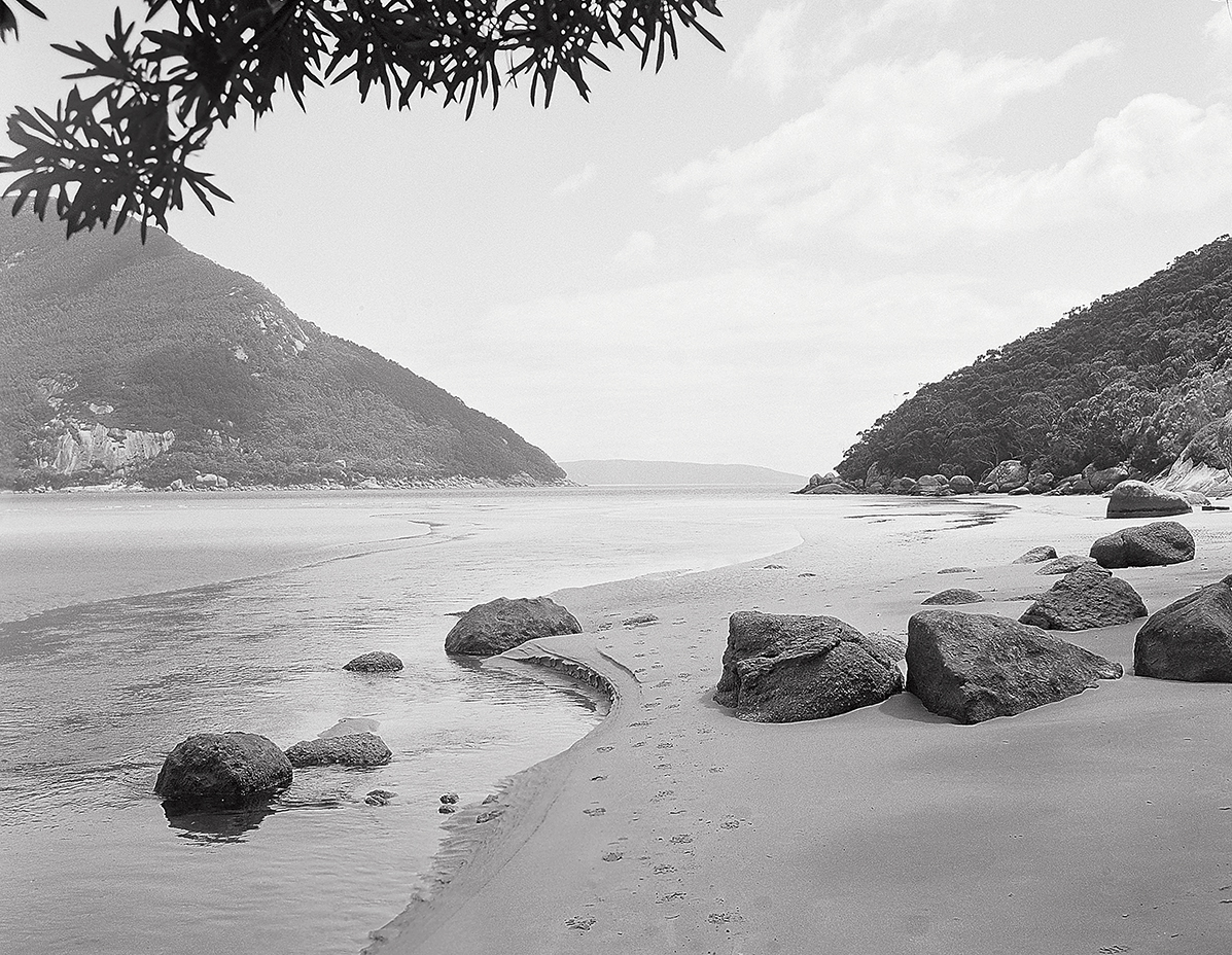 Andy SecretCove