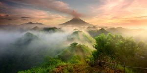Epson Pano Awards The Phillipines