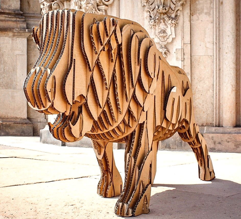 Re Board Lion