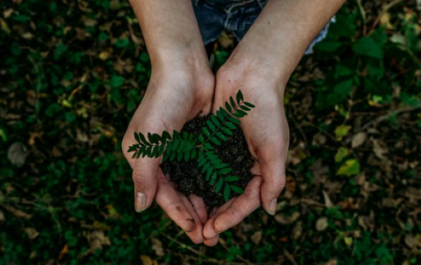 VMA Ecocrave hands image