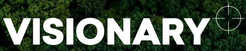 Visionary Group logo