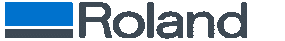 Roland DG logo Copy